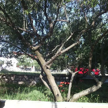 Apartament Chiara *